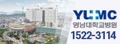 배너