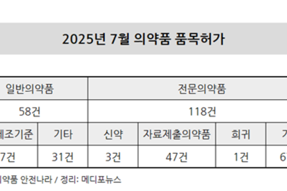 7월 의약품 허가 중 67는 전문의약품…희귀 1건