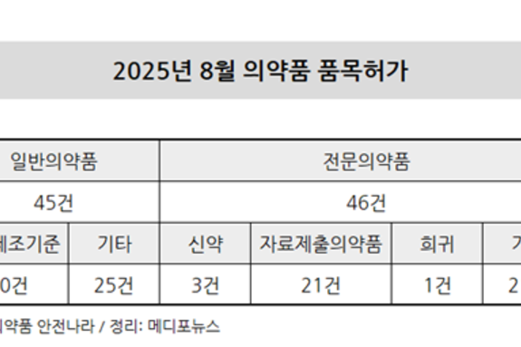 8월 의약품 허가 91건…전문의약품 허가건수 과반
