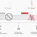 한미 세계 첫 ‘근육 증가’ 혁신 비만신약, 美 FDA 임상 1상 승인
