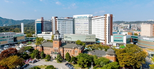 서울대병원,  영상 판독·의료 추론 특화 AI 2종 개발해 전 세계 공개