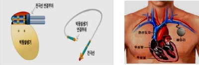 메디포뉴스 메디포뉴스