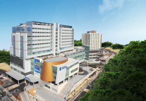 가톨릭관동대 국제성모병원 전경(사진 제공: 가톨릭관동대 국제성모병원)
