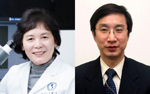 조혜성 교수(좌), 이명식 교수