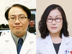 서울아산병원 융합사진 왼쪽부터 의학과 김남국 교수, 병리과 고현정 교수.