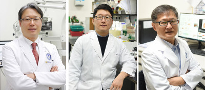 (왼쪽부터) 정연훈 교수, 이윤영 연구강사, 강엽 교수.