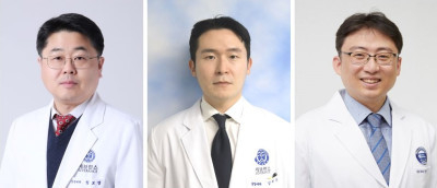 정보영, 김대훈, 양필성 교수.