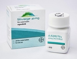 VEGF를 표적하는 간암 치료제 ‘스티바가’