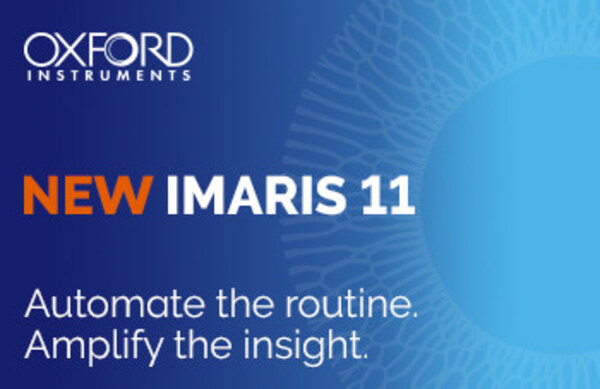 New Imaris 11 - Automate the routine, Amplify the insight